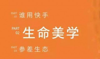 快手怎么变老（快手怎么变老版本）