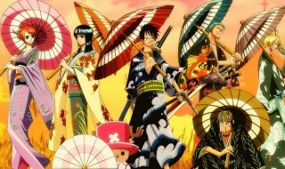 海贼王佐乌篇是讲什么（海贼王佐乌篇好看吗）