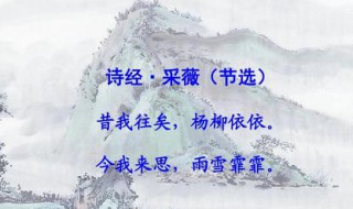 采薇原文及翻译（采薇原文及翻译昔我往矣）