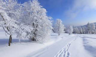 适合雪天自己的心情语录（雪天心情发朋友圈说说）