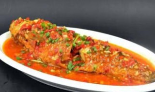 草鱼和什么一起炖好吃又简单（草鱼和什么一起炖比较好）