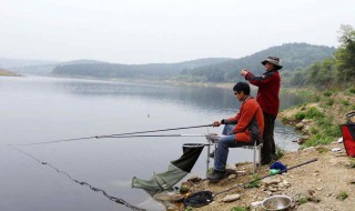 清明节前后好钓草鱼吗(清明节前后好钓草鱼吗)