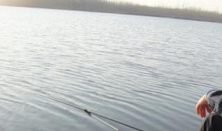 清明节前为什么不能钓鱼(清明前为什么鱼不好钓)