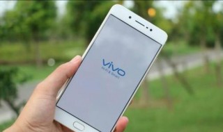 vivo手机能隐藏电话号码么 vivo手机能隐藏电话号码么