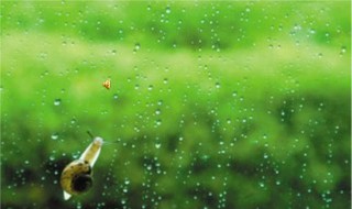 春天的雨和夏天秋天的雨有什么不同 春天的雨和夏天秋天的雨有什么不同之处