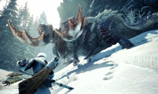 怪物猎人世界怎么交易道具(怪物猎人世界玩家交易物品)