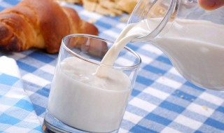 生牛乳的牛奶的功效与作用（生牛乳有什么好处,有什么营养）