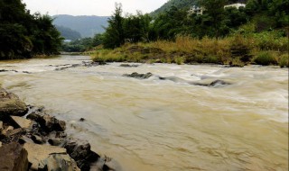 浑水变清水需要什么东西（浑水变清水需要什么东西呢）