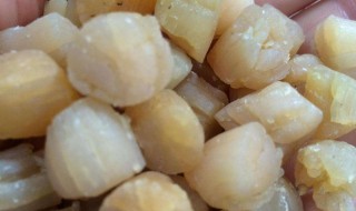 冻瑶柱的功效与作用（冻瑶柱的功效与作用及禁忌）