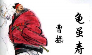 龟虽寿古诗的意思（龟虽寿古诗意思解释）