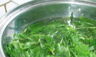 焯水的苦菜在冰箱保存多久（焯水的苦菜在冰箱保存多久不能吃）
