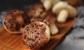 求助香菇可以放冰箱吗 香菇可以放冰箱里保鲜吗