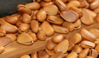 松子每天吃多少合适（松子每天吃多少合适减肥）