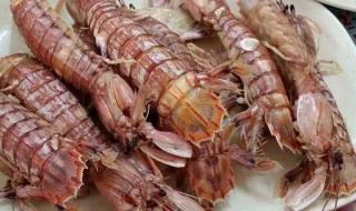 孕初期可以吃虾姑吗（怀孕初期可以吃虾姑吗）