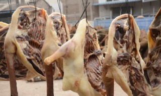 腊鹅可以直接吃吗（腊鹅可以直接吃吗视频）