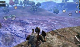 刺激战场看自己杀了谁（刺激战场如何看人在哪里）