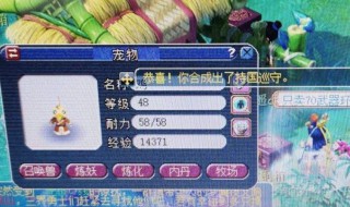 梦幻西游宝宝使用灵佑降级再升级 梦幻西游宝宝使用灵佑降级再升级有用吗