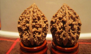 千眼菩提果有什么功效 千眼菩提果的作用