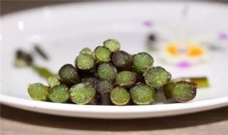 紫皮石斛的功效 紫皮石斛的功效能治什么病