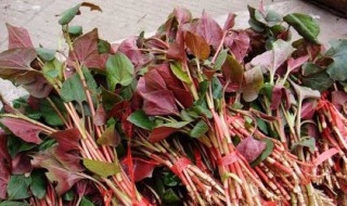 鱼腥草可以止咳吗 鱼腥草可以止咳吗怎么吃