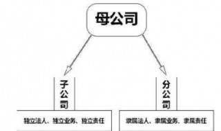 总公司与分公司的关系是什么 总公司与分公司的关系是什么关系