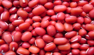 红豆和赤小豆有什么区别吗 红豆和赤小豆有什么区别?功效有什么区别?