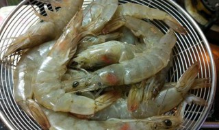 厄瓜多尔明虾营养价值 厄瓜多尔虾是什么虾