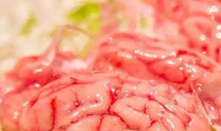 猪脑营养价值及功效 猪脑营养功效与作用
