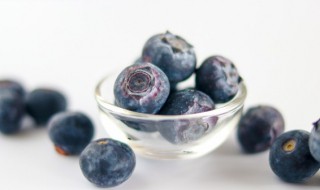 蓝莓种植 蓝莓种植时间和方法