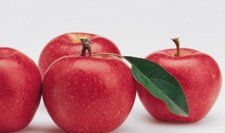 苹果是否可以煮吃 苹果是否可以煮吃呢