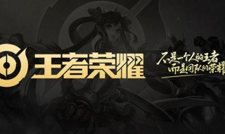 王者荣耀体验服皮肤怎么搞（王者荣耀体验服这么搞皮肤）