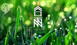2020年谷雨时节是什么时候（2020年谷雨时节是什么时候）