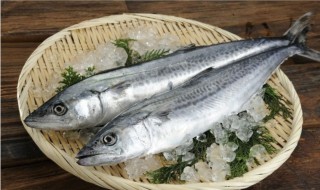 土鱼是啥子鱼? 土鱼是啥子鱼