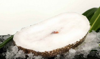 怎样炖雪鱼好吃又简单 怎样炖雪鱼好吃又简单的做法