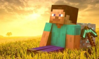 我的世界服务器怎么弄公告(我的世界服务器公告怎么做)