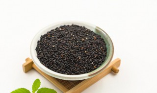 芝麻粉能保存多久