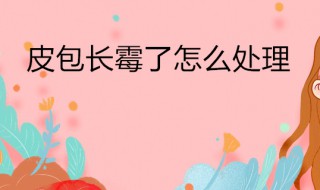 皮包发霉了怎么去霉斑（皮包发霉了怎么祛除）