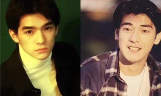 清平乐赵祯少年谁演的 清平乐赵祯死了是哪集