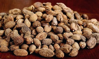 大砂仁和小砂仁的区别 大砂仁与小砂仁