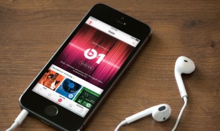 苹果手机没有ID是什么意思 苹果手机没有id是什么意思啊