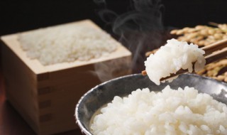 蒸粘米饭的正确方法 蒸黏米饭怎么做