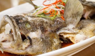 清蒸小石斑鱼的做法和步骤 清蒸石斑鱼怎么做才好吃