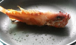 太平洋玫瑰鱼的烹饪方法 玫瑰鱼图片是淡水鱼