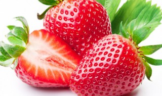 草莓怎么放才保鲜 草莓怎么放保鲜时间最长