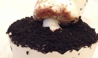 蘑菇蛋糕（饥荒蘑菇蛋糕）