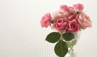 粉色玫瑰的花语是什么（六朵粉色玫瑰的花语是什么）