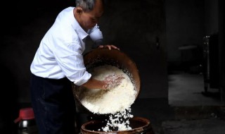 米酒发酵过程步骤 米酒怎么发酵成酒