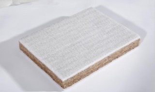 棕床垫的清洁方法 棕床垫怎么清洁