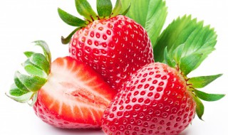 盆栽草莓种植方法详细说明 盆栽草莓种植方法详细说明图