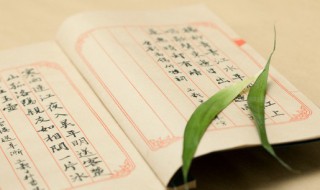 伤风败俗什么意思(伤风败俗什么意思式弹式)